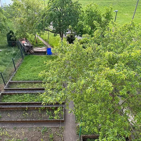 Апартаменты Good Connection *